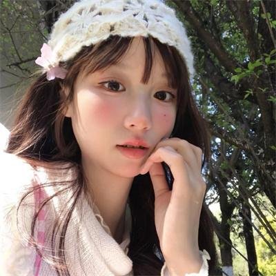 雏菊